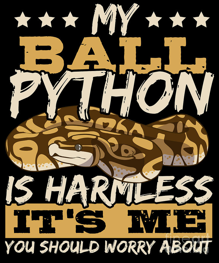 My Ball Python Is Harmless - Reptile Exotic Pet Serpent Digital Art by ...