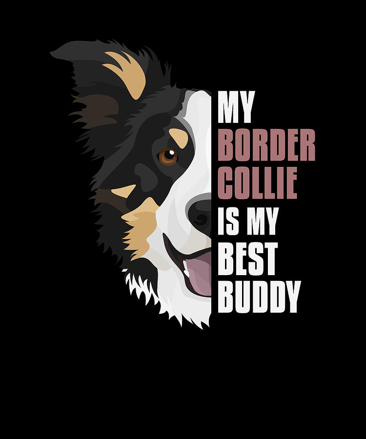 My Border Collie is my best buddy Digital Art by GreenOptix - Fine Art ...