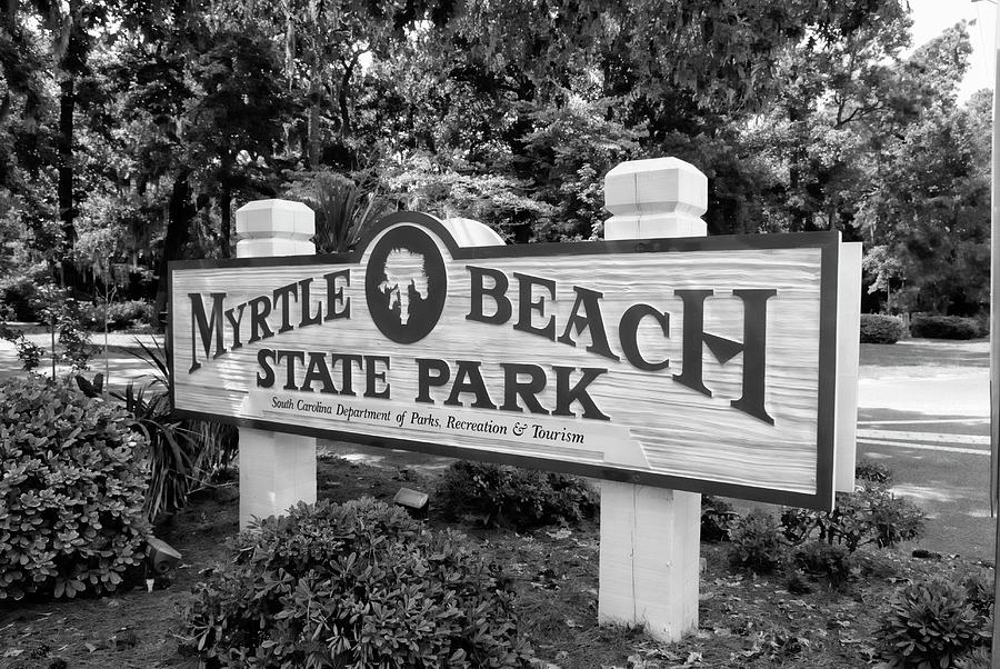 Myrtle Beach State Park SC #1 Photograph by Bob Pardue