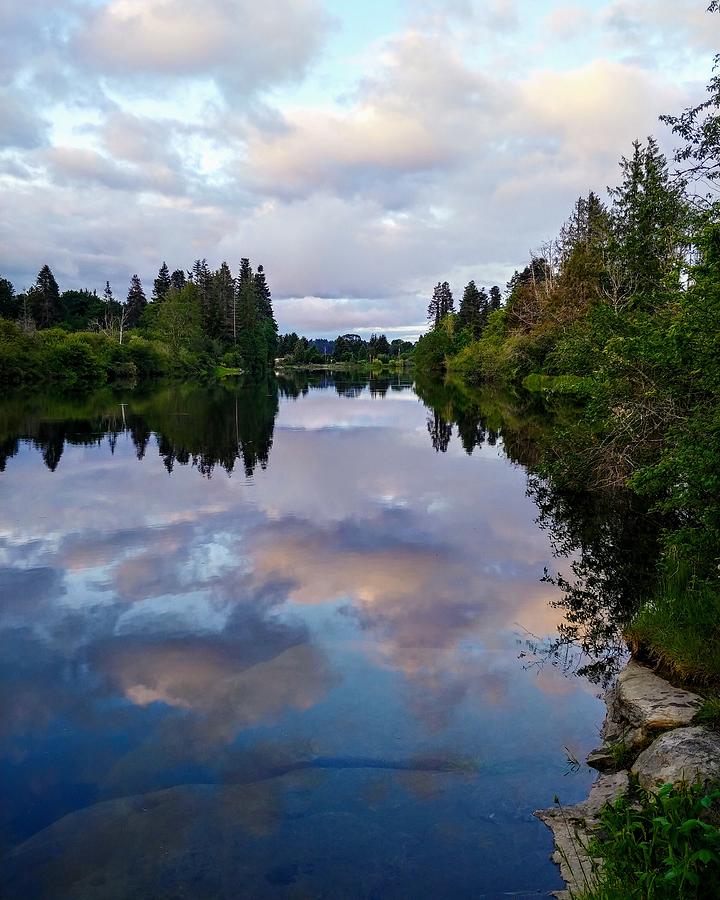 Nanaimo River Reflections #1 Photograph by Darrell MacIver