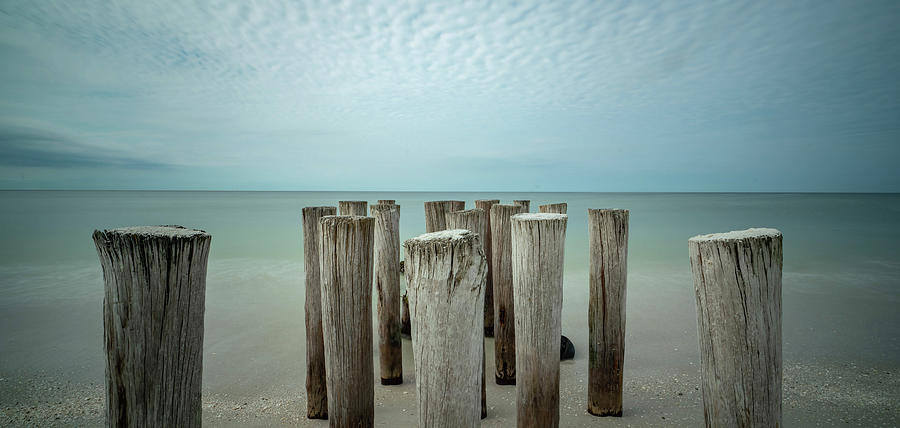 Naples Pilings 2021 Photograph by Joey Waves Naples Pilings 2021 Photograph by Joey Waves
