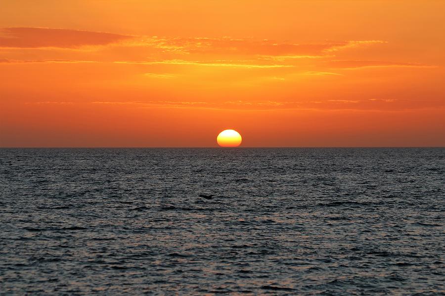 Naples Sunset #1 Photograph by Donn Ingemie