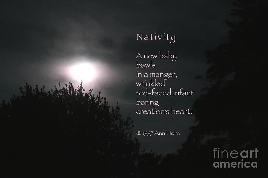 Nativity #1 Photograph by Ann Horn