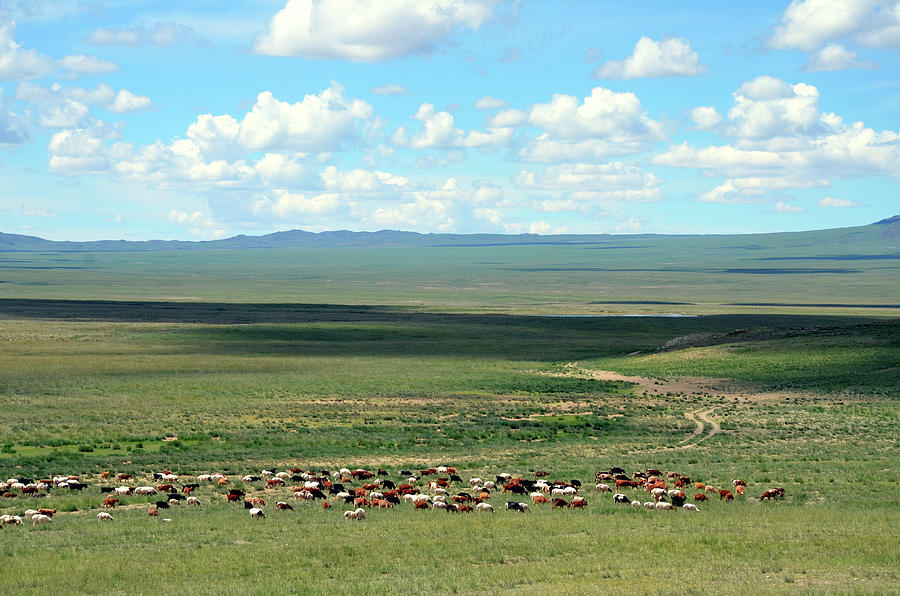 Nature in Mongolia #1 Photograph by Otgon-Ulzii