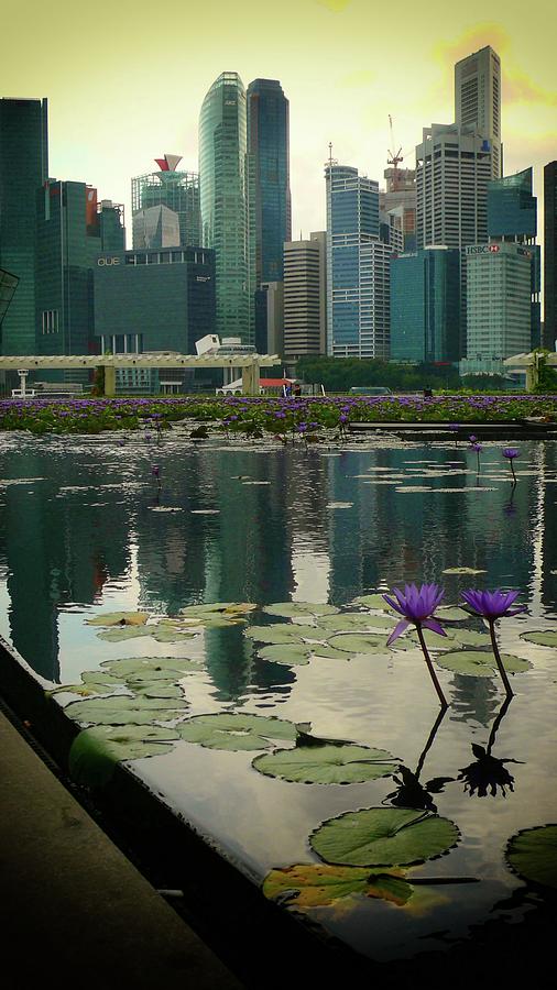 Nature in Singapore #1 Photograph by Robert Bociaga