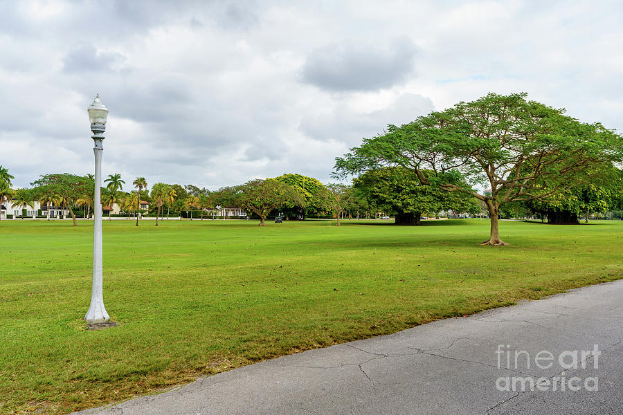 Nature scene at the Granada Golf Course Coral Gables Miami Flori