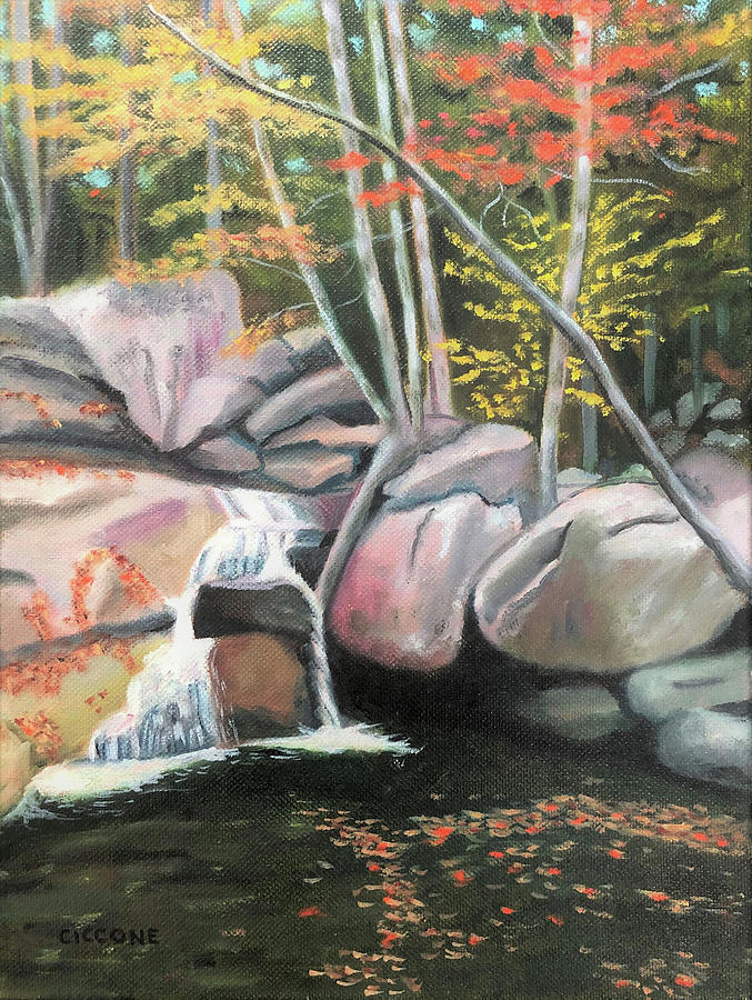 Natures Rock Garden #1 Painting by Jill Ciccone Pike