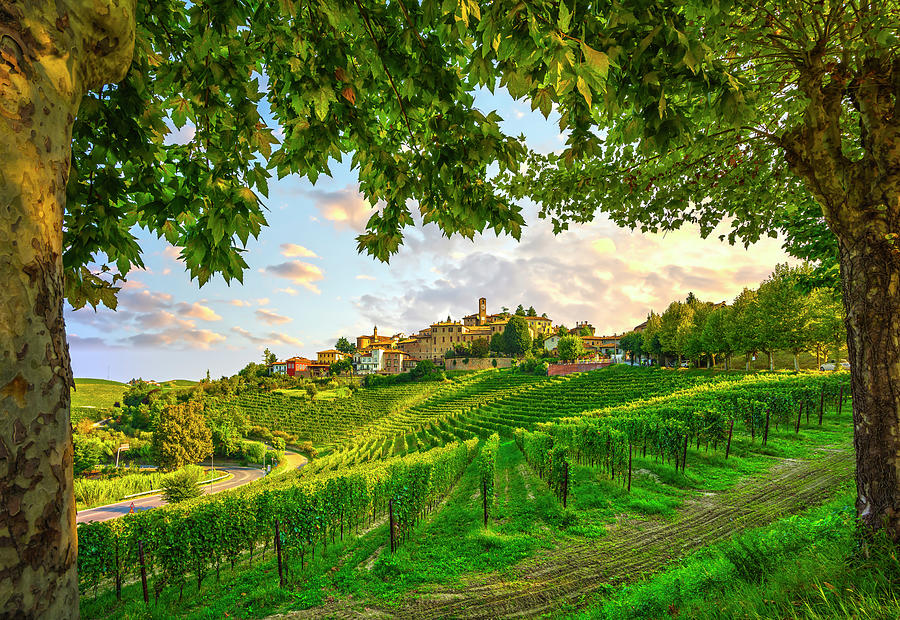 Neive village and Langhe vineyards, Piedmont, Italy Europe. #1 Photograph by Stefano Orazzini