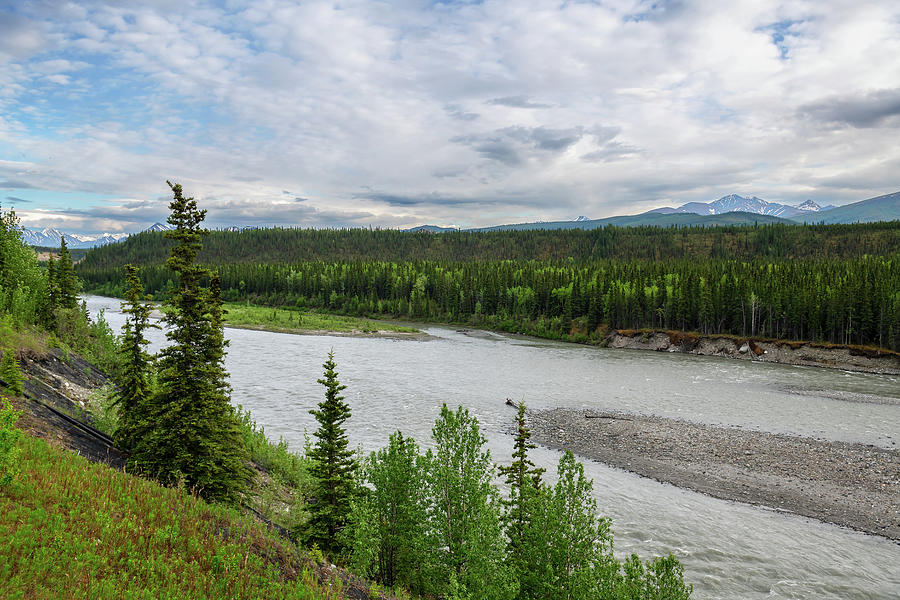 Nenana River View Photograph by Andrew Kazmierski Fine Art America