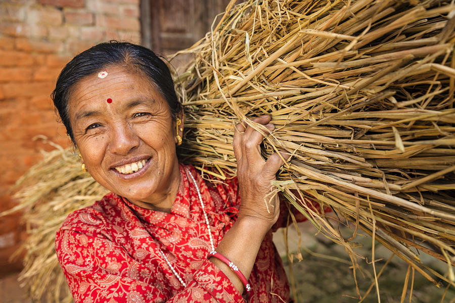 Nepali woman carrying rice straw in Bhaktapur, Nepal #1 Photograph by Hadynyah