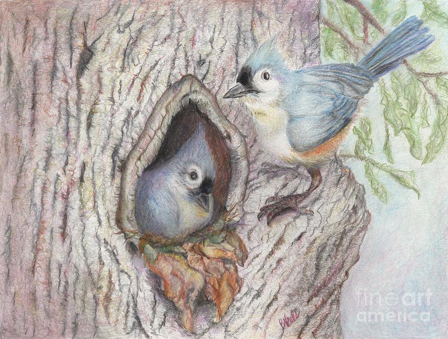 Nesting Titmouse #1 Drawing by Bev Veals
