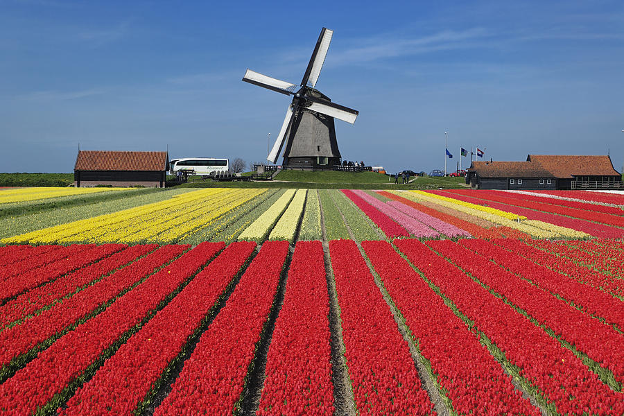 Netherlands #1 Photograph by Adam Jones
