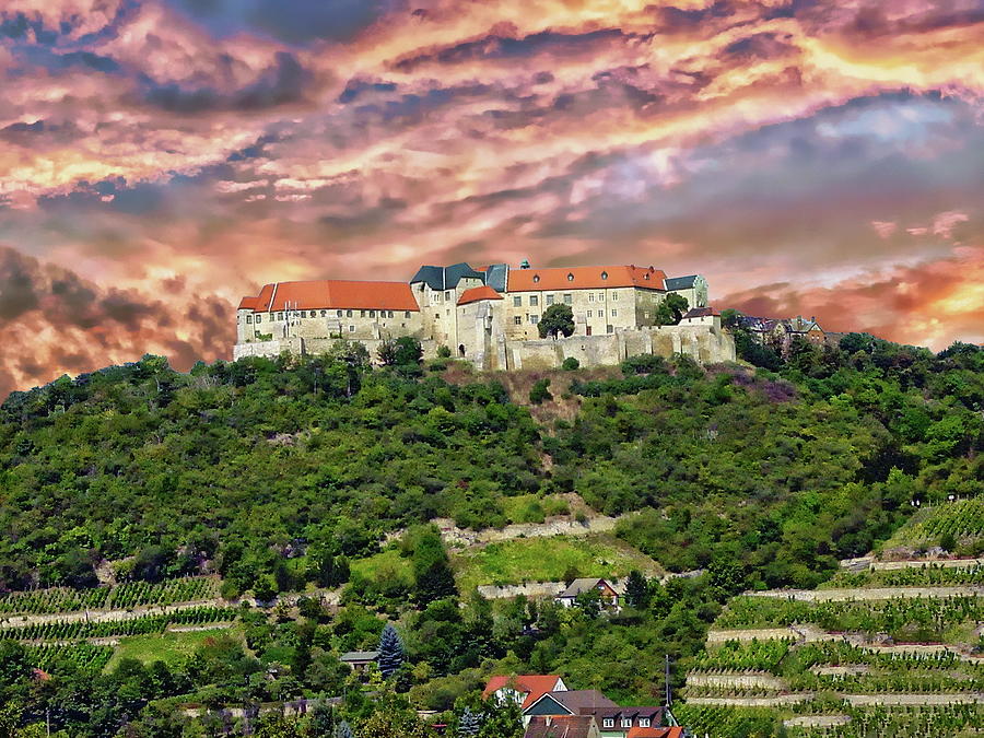 Neuenburg Castle by Anthony Dezenzio Neuenburg Castle by Anthony Dezenzio
