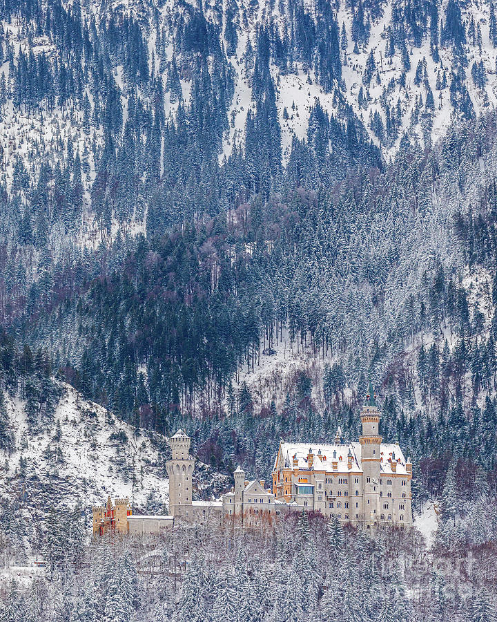 Neuschwanstein Castle in Winter #1 Photograph by Henk Meijer Photography