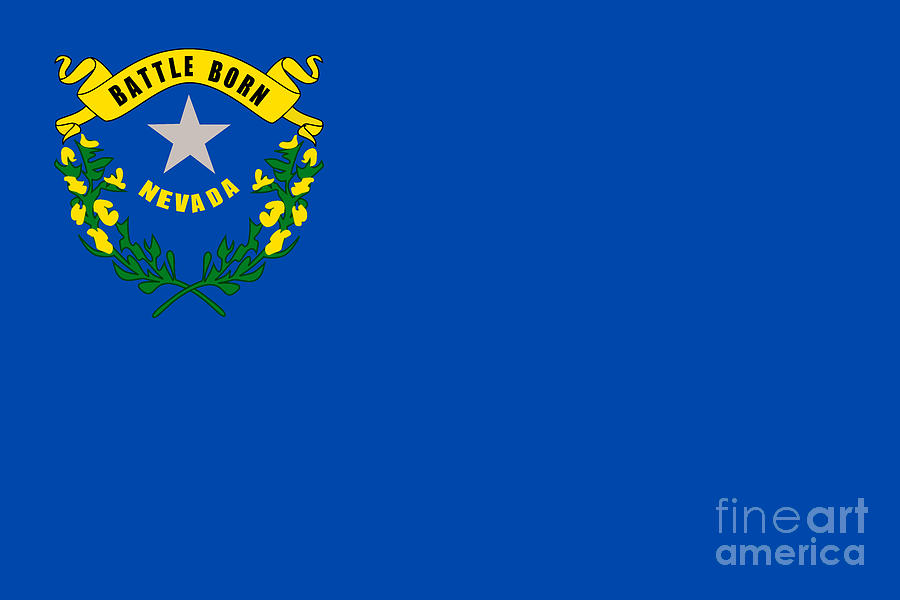 Nevada State Flag #1 Digital Art by Sterling Gold
