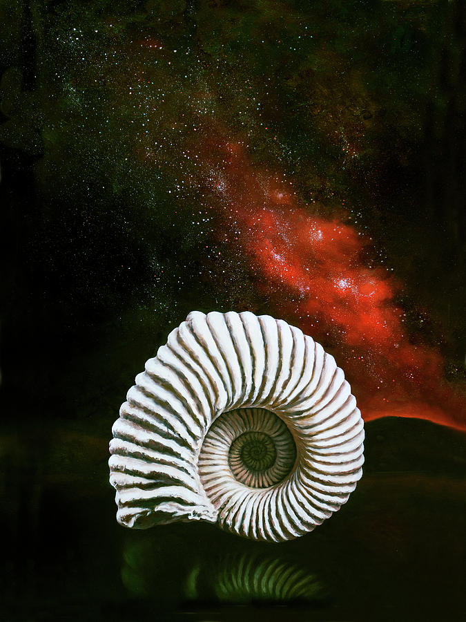 Shell Painting - Never-Ending by Anthony Enyedy