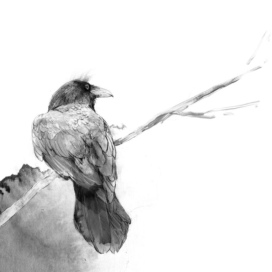 Nevermore and Evermore #1 Drawing by Hannah Hill Nevermore and Evermore #1 Drawing by Hannah Hill