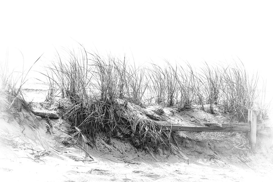 New Jersey-Dunes in Sea Isle City #1 Photograph by Judy Wolinsky