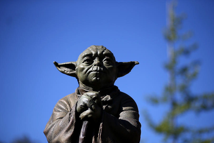 New Marin County Park Features Statue Of Star Wars Character Yoda Photograph by Justin Sullivan
