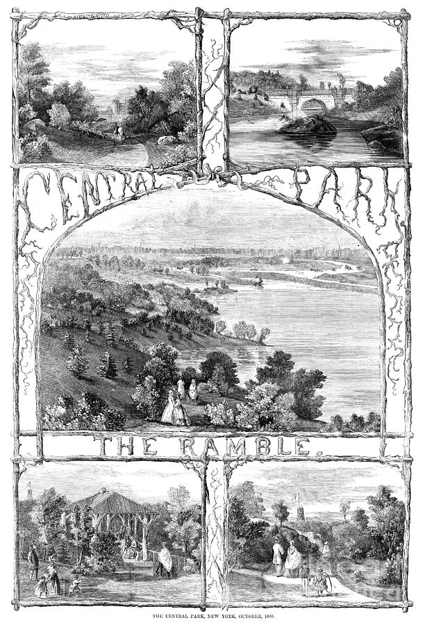 New York Central Park, 1860 #1 Drawing by Granger