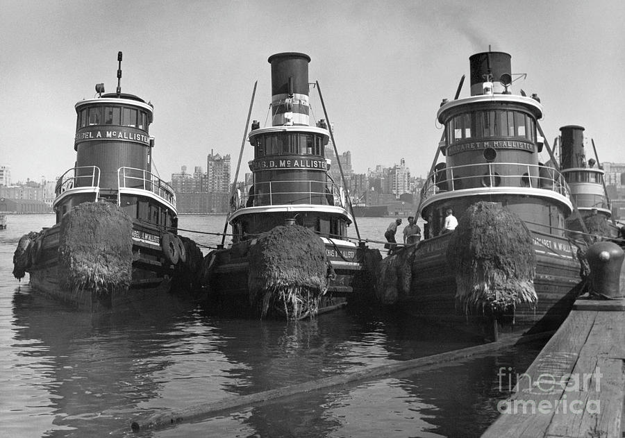 NEW YORK TUGBOATS, c1960 #1 Photograph by Angelo Rizzuto