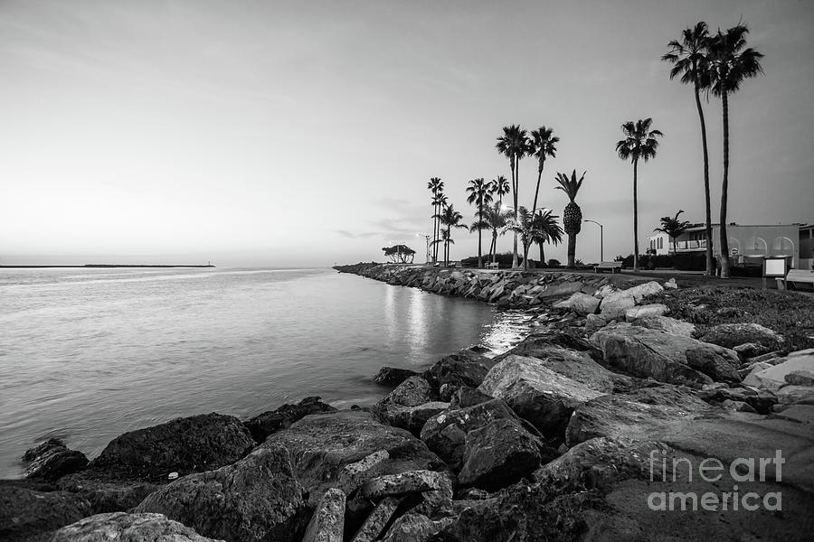 Newport Beach Jetty Black and White Photo #1 Photograph by Paul Velgos