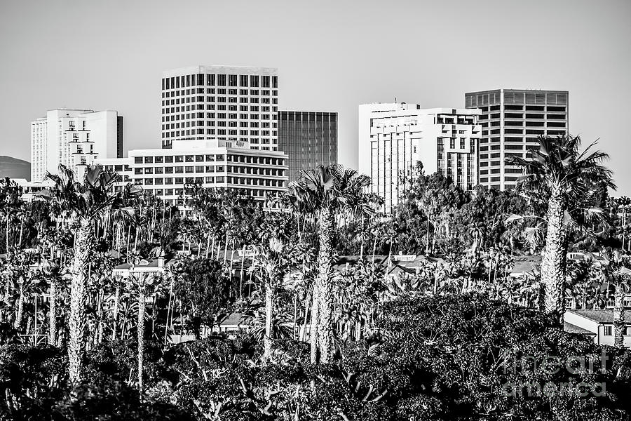 Newport Beach Skyline Black and White Picture #1 Photograph by Paul Velgos