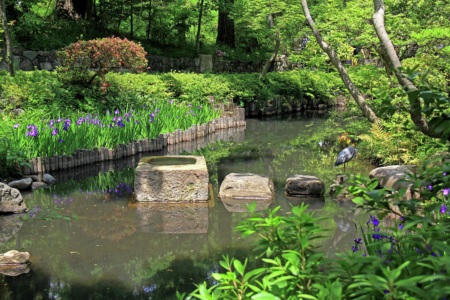 Nezu Fine Art Garden - Tokyo, Japan #2 Photograph by Richard Krebs