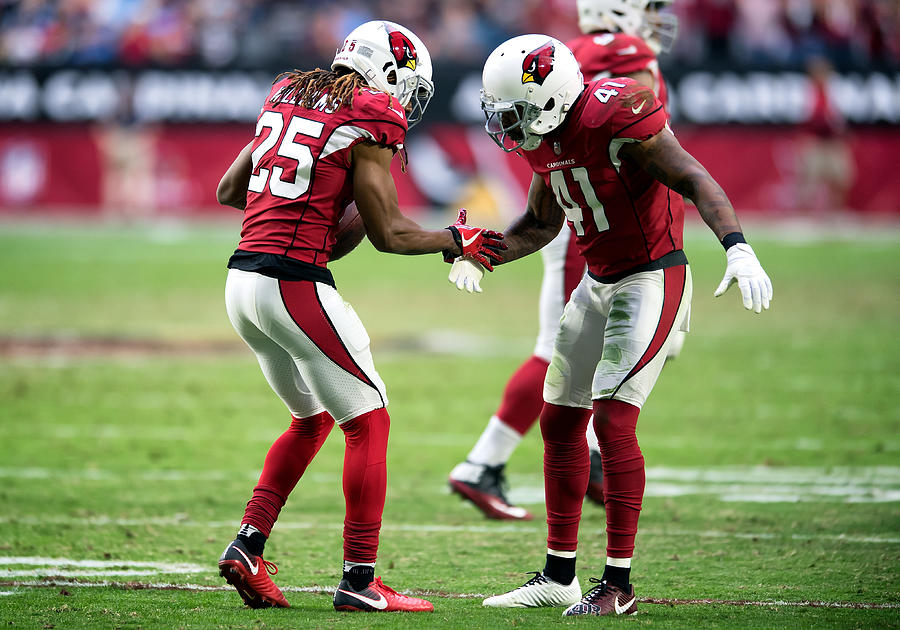 NFL: DEC 10 Titans at Cardinals #1 Photograph by Icon Sportswire