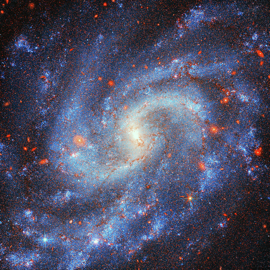 Galaxy Ngc 5584 Photograph