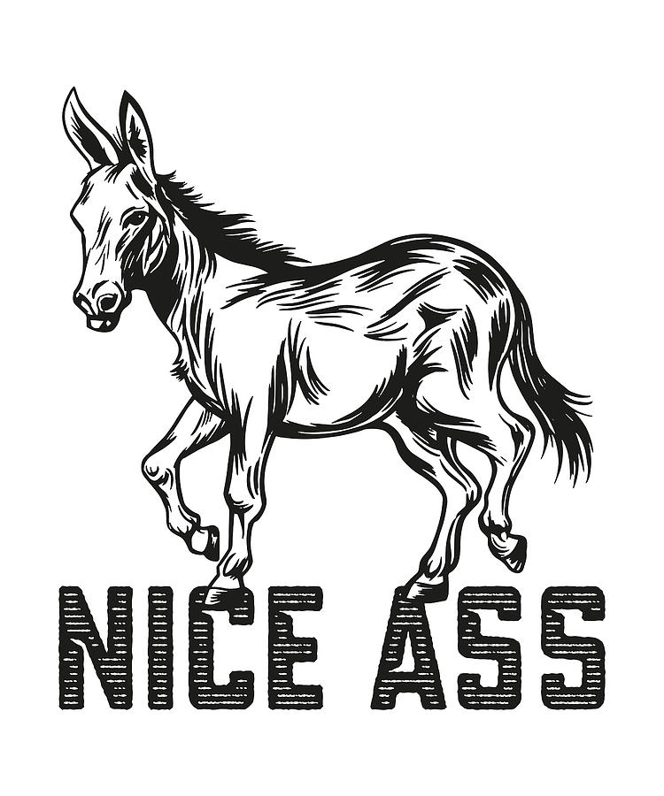 Nice Men Ass