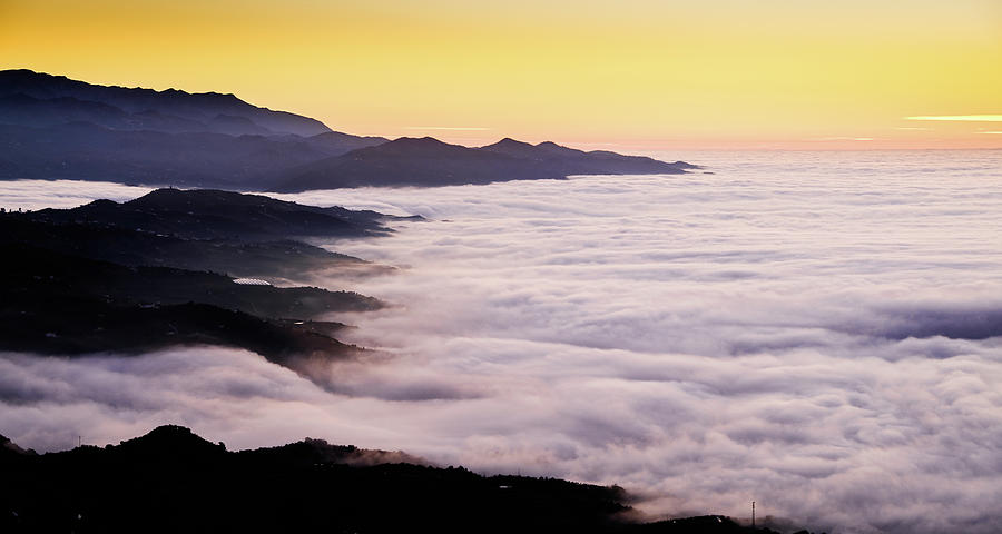 Niebla #1 Photograph by Gary Browne