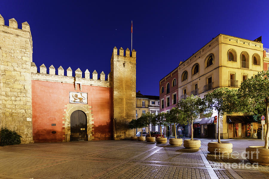 Night view of the entrance of the Alcazar castle in the heart of ...