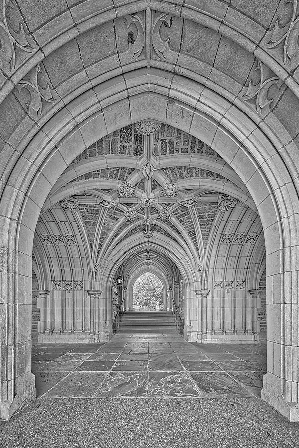 NJ Princeton Hall  #1 Photograph by Susan Candelario