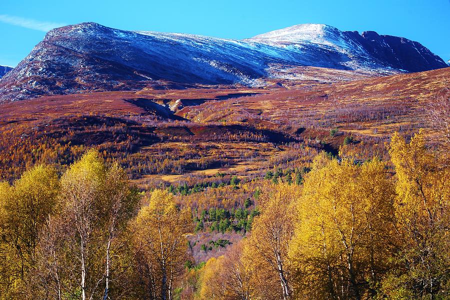 Nordic Autumn Mountain Forest Photograph