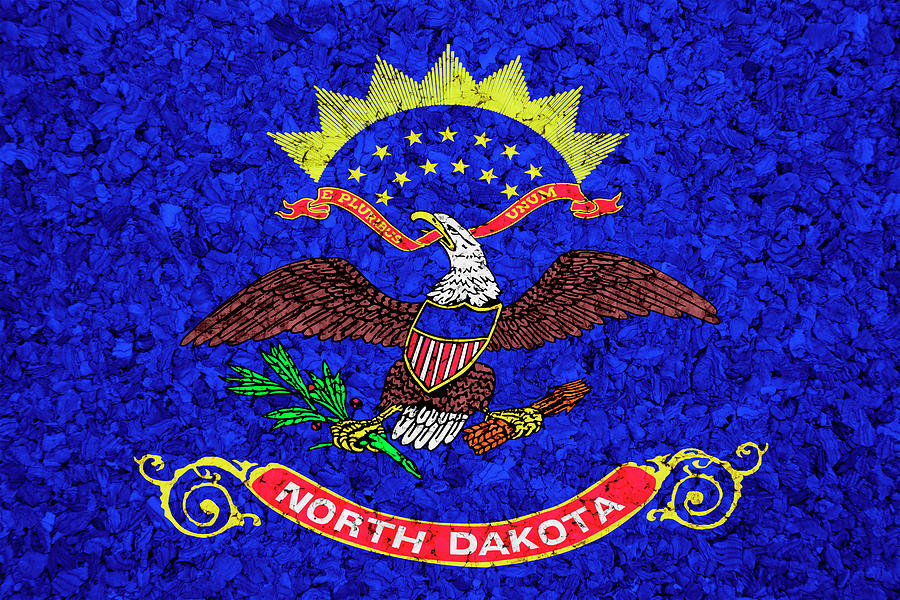 North Dakota State Flag Photograph