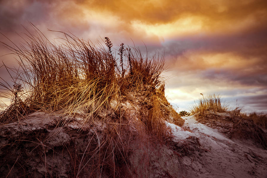 North shore dunes #1 Photograph by Lilia S