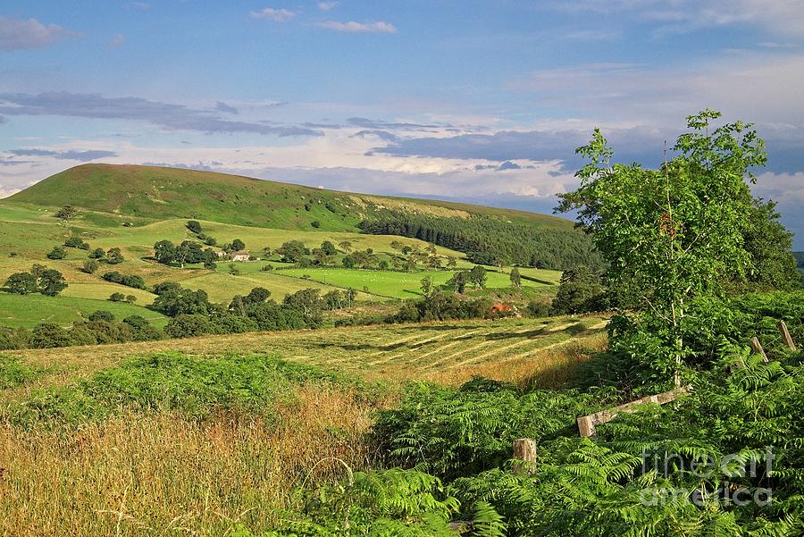 North York Moors Countryside #1 Photograph by Martyn Arnold