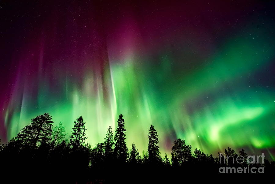 Northern Lights 6 Photograph by Alexandra Arts