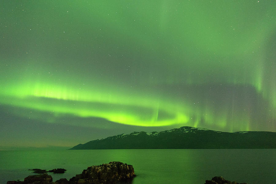 Northern lights in Akureyri, Iceland #2 Digital Art by Michael Lee