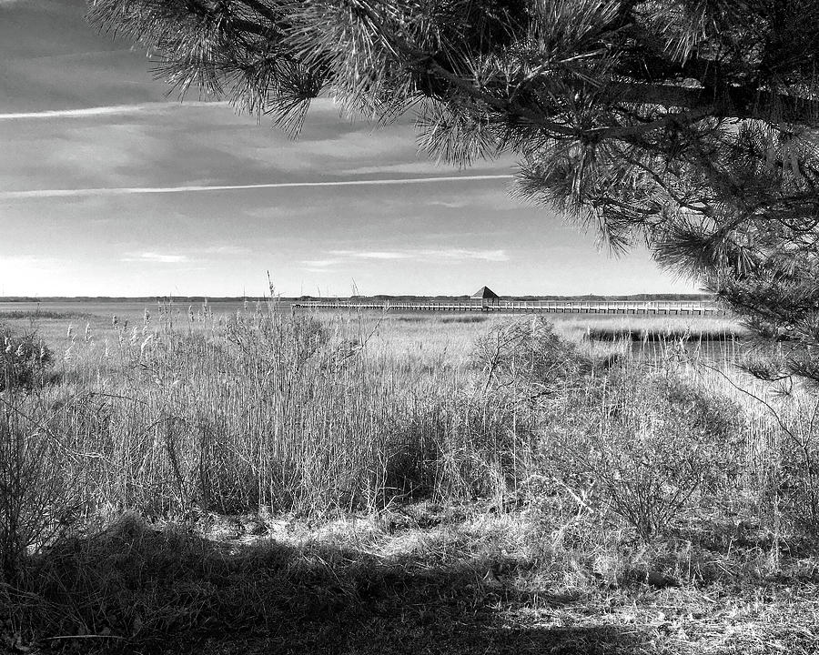 Northside Park Pier and Marsh in Black and White Photograph by Bill Swartwout