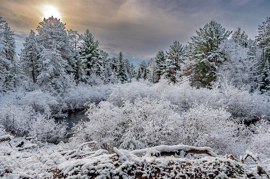 November Snow #1 Photograph by Gary McCormick