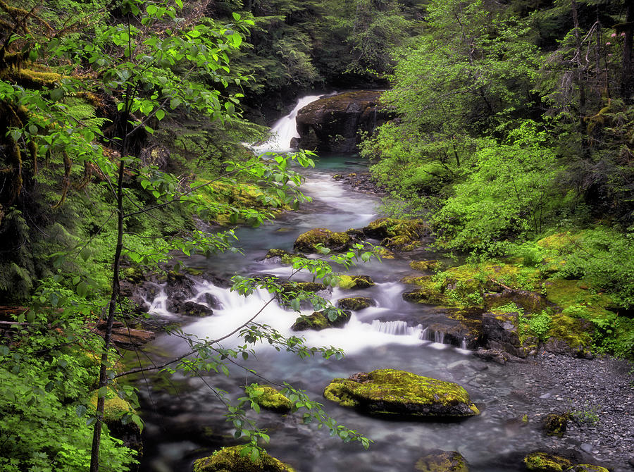 Numerous cascading waterfalls and pristine emerald pools highlight Opal ...