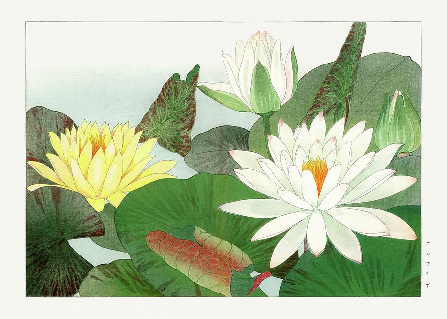 Nymphaea lotus Painting by Art Dozen - Fine Art America