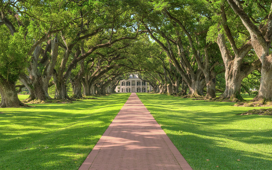 Oak Alley Plantation #1 Photograph by Jim Vallee
