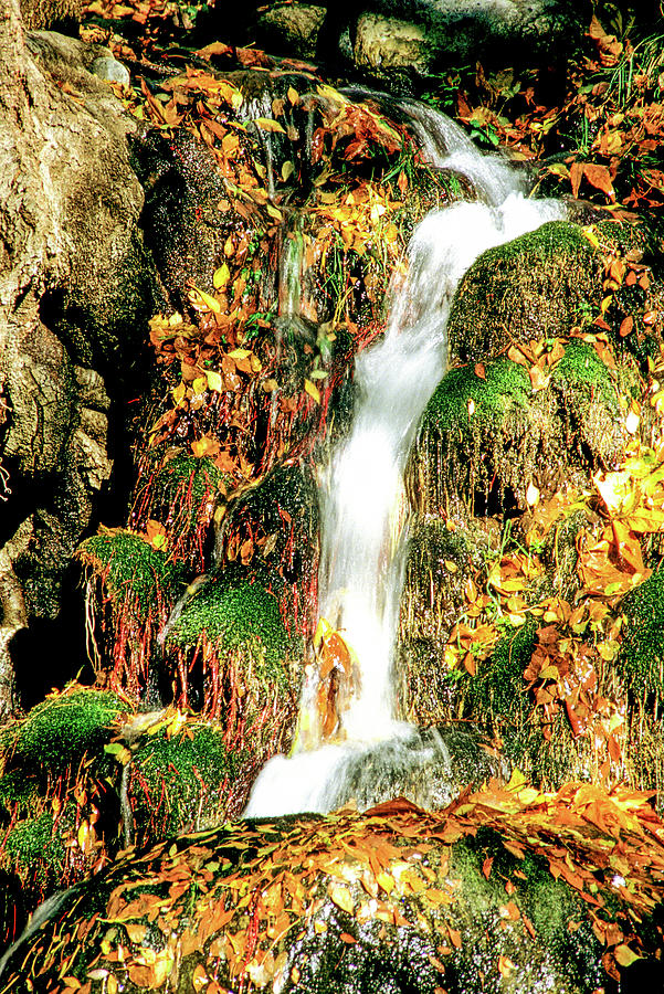 Oak Creek waterfall  #1 Photograph by Randy Bradley