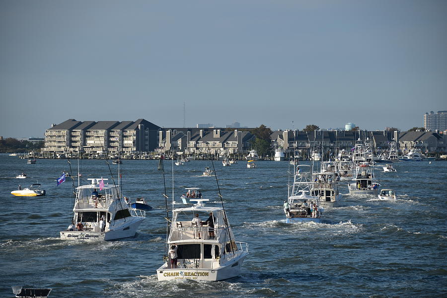 Ocean City White Marlin Open Photograph by Bob Gizinski Fine Art America