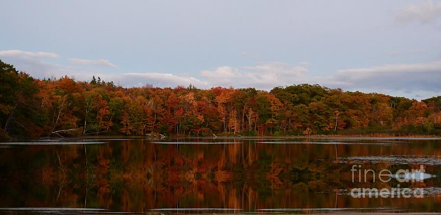 October Reflections Photograph