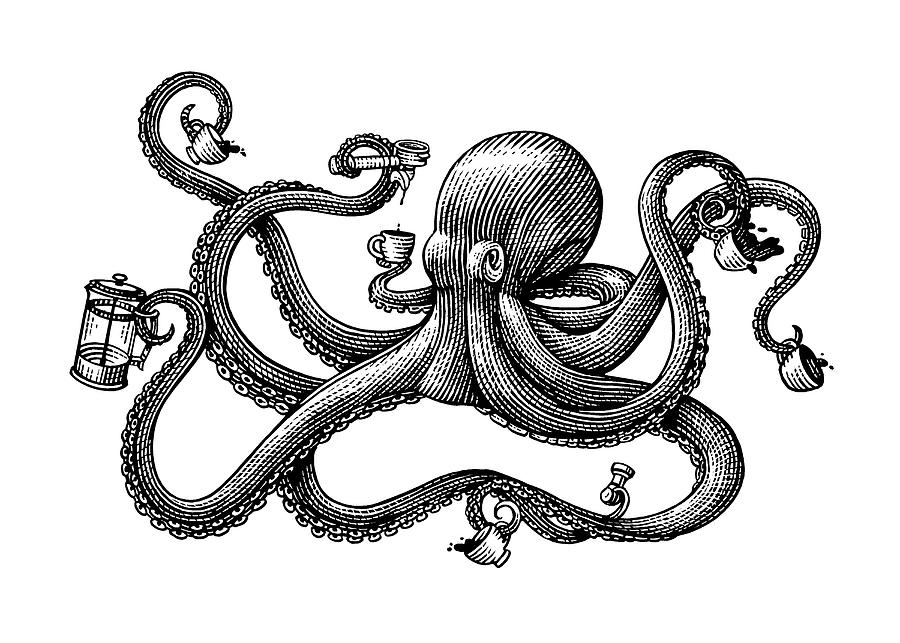 Octopus Drawing by Steven Noble - Fine Art America