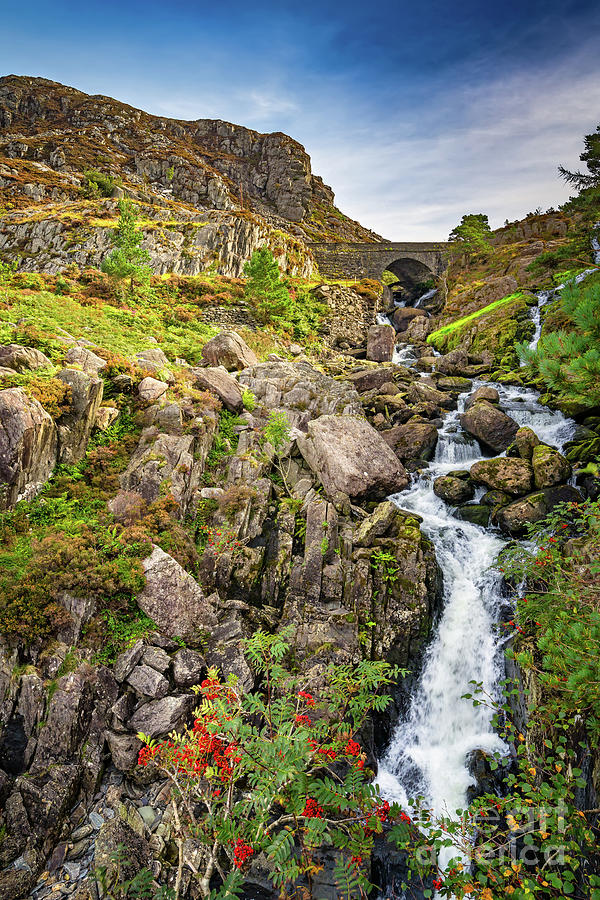 Snowdonia National Park Photograph - Ogwen Waterfall Snowdonia  #1 by Adrian Evans